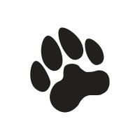 Black Pug Studio logo - Similar company to Attaboy Interactive