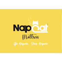 Napcat Sleep Solutions logo - Similar company to Nool Media