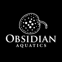Obsidian Aquatics logo - Similar company to Kingswim