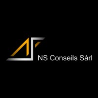 NS Conseils Sàrl logo - Similar company to Profeu Conseils