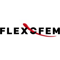 FLEXOFEM logo - Similar company to Expert Srl