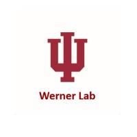 Werner Lab logo - Similar company to Wisconsin Institute For Healthcare Systems Engineering