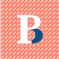 Boraita Formación logo - Similar company to Sidfe Formación