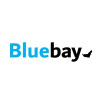 Bluebay Team logo - Similar company to When I Grow Up
