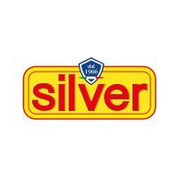SILVER SERVICE SRL logo - Similar company to Silver Service