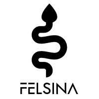 FELSINA logo - Similar company to 6499 Milano