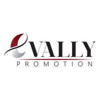 EVALLY PROMOTION logo - Similar company to Bizo Immo