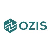 OZIS AUDIT & CONSULTING logo - Similar company to Dahbi Foundation