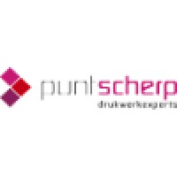 Puntscherp logo - Similar company to Irp