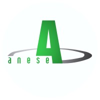 Anese Srl logo - Similar company to Iatt - Italian Association For Trenchless Technology