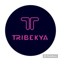 Tribekya Corp logo - Similar company to Keller Williams Bolivia