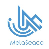 MetaSeaco Indonesia logo - Similar company to Beprofesion