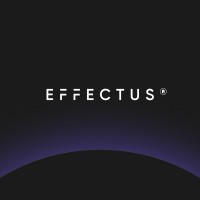 Effectus Software logo - Similar company to Valkybox