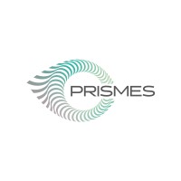 PRISMES logo - Similar company to Solent Spectacles
