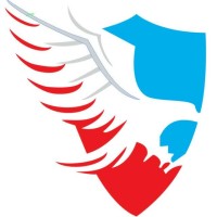 FALCON4FIRE logo - Similar company to Novosafe Technical Services Llc