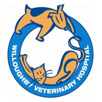Willoughby Veterinary Hospital logo - Similar company to Veterinary Emergency Care Australia