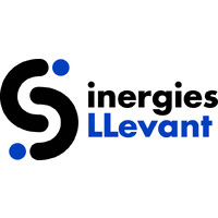 SINERGIES LLEVANT SL logo - Similar company to Cetia Obras Y Servicios