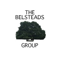THE BELSTEADS GROUP LIMITED logo - Similar company to Nordic Schools