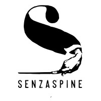 SENZASPINE logo - Similar company to Digifor