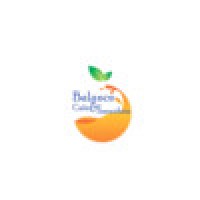 Balance Cafe & Smoothies logo - Similar company to Organic Krush Kitchen & Eatery