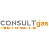 CONSULTgas ENERGY CONSULTING logo - Similar company to Disibeint Electronic