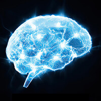 LAZYBRAIN.ai logo - Similar company to Groupspaces
