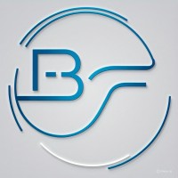 BitFlow AI Solutions logo - Similar company to Code Craft Techie
