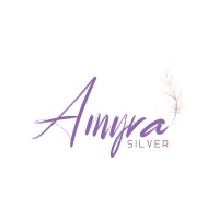 Amyra Silver logo - Similar company to Geega Turtles