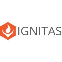 Ignitas - Team Building Rpg
