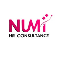 Numi HR Consultancy logo - Similar company to Insider Analysts