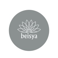 Beisya logo - Similar company to Paketiniz.Com