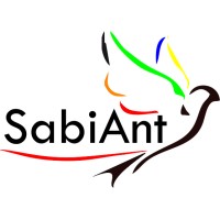 SabiantArt Corporate logo - Similar company to Cws Mining Services