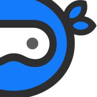 Payment.Ninja logo - Similar company to Payment Nerd