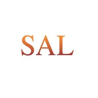 SAL Institute logo - Similar company to Progress Consultancy