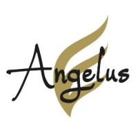 Angelus Capital logo - Similar company to Berliner Help Stiftung