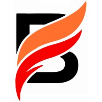 BIZZARRE INFRACON logo - Similar company to Biocrust Private Limited