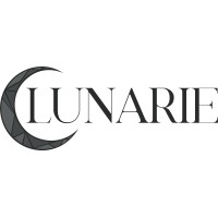 Lunarie Digital Commerce Solutions Ltd. logo - Similar company to Areplay Studio