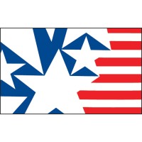 Fondazione Italia USA logo - Similar company to Intellisync