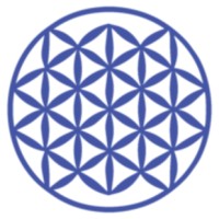 Nexus Intelligence Advisory (NIA) logo - Similar company to Pragma