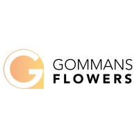 Gommans Flowers logo - Similar company to Linflowers Chrysanten