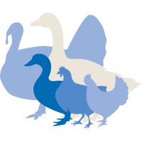 WING - Wissenschaft für innovative und nachhaltige Geflügelhaltung logo - Similar company to Syn+ Bv
