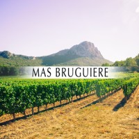 Mas Bruguière logo - Similar company to V. Marchand De Vins