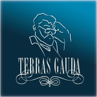 Bienal Internacional de Cartelismo Terras Gauda - Concurso Francisco Mantecón logo - Similar company to After Effects Tech Desk