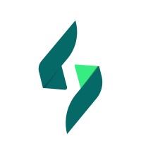 Saletancy logo - Similar company to Quantumedge Solutions