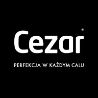 Cezar logo - Similar company to Decora S.A.
