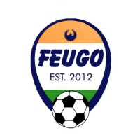 Feugo Tormento Football School logo - Similar company to Easy Films