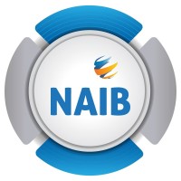 NAIB IT logo - Similar company to Doitogether Architecture Bv