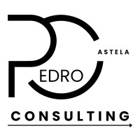 Pedro Castela Consulting logo - Similar company to Foeng Group