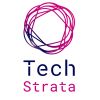 TechStrata logo - Similar company to Blue Wave Micro