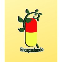 Encapsulando logo - Similar company to Encapsulando Ideas